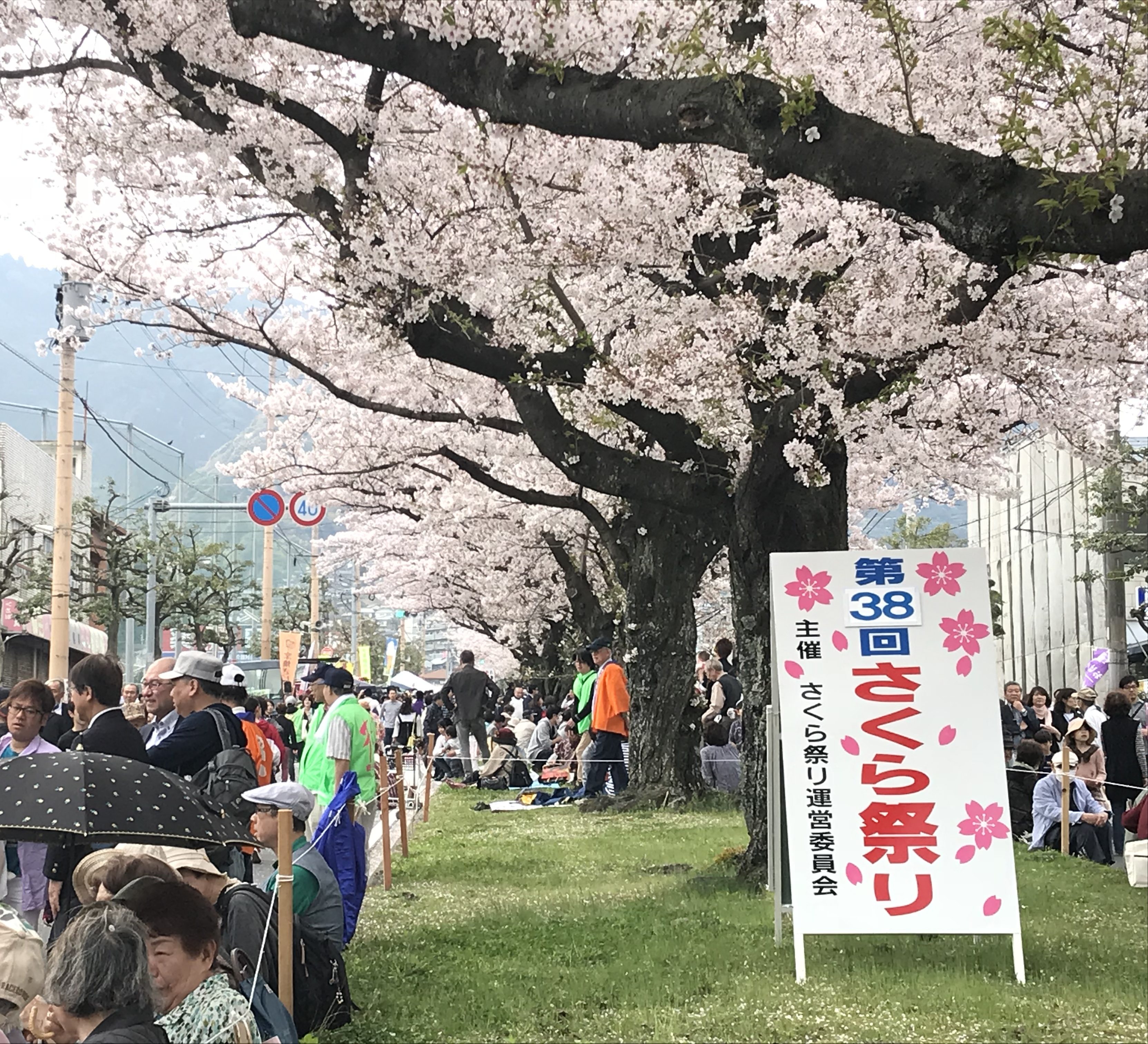 地域に愛される 前田さくら祭り へ 実際に行ってきました けやきテラスプロジェクト